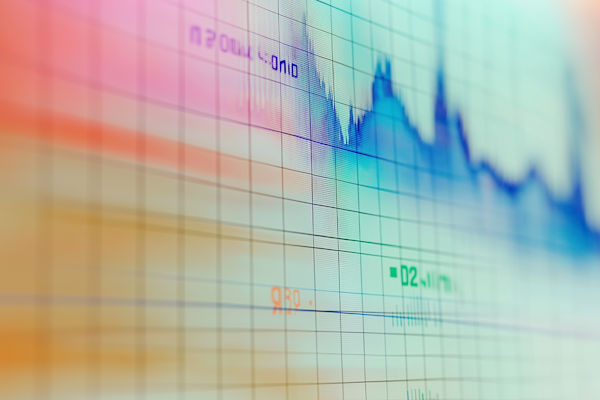 Portfolio di investimenti diversificato gestito attraverso strategie professionali